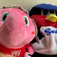 づめさん🏀⚾️