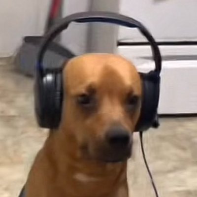 whimsy and joyful adept of woozinism