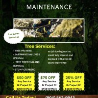 Amelia Island tree maintenance