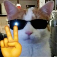 TalenaAutumn (Talena Atún)