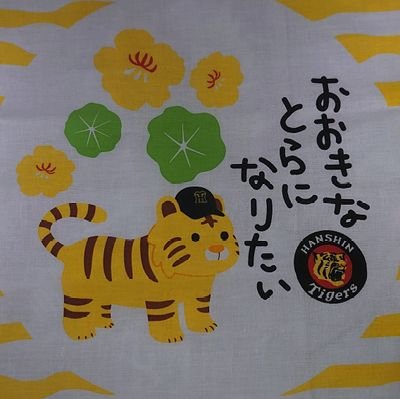 ｔｏｓｈｉ　2025虎の最速優勝は現地で見れませんでした！