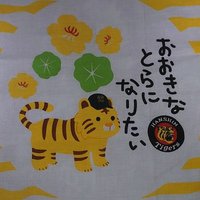ｔｏｓｈｉ　2025虎の最速優勝は現地で見れませんでした！