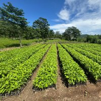 Central Assam Circle, Guwahati