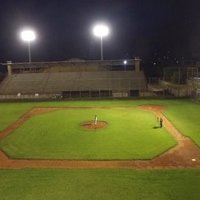 世界野球情報局