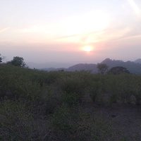 कौशिक जी