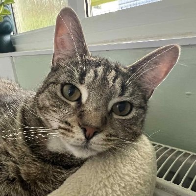 Billy Michaels ♿️