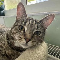 Billy Michaels ♿️