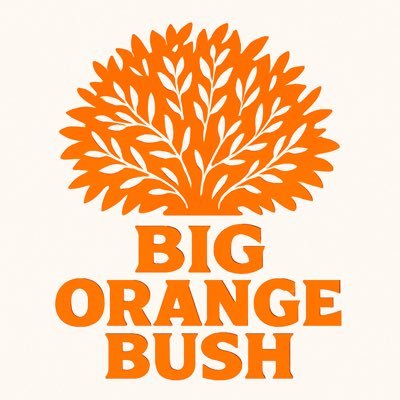 Big Orange Bush