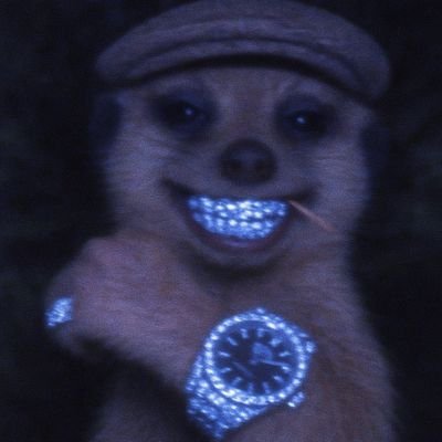 REINCARNATION OF OGUN🦁🌻