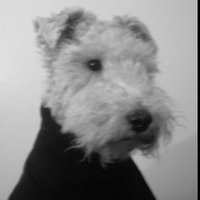 olivia 🇫🇷🇨🇺🇬🇷🇪🇸 ✞