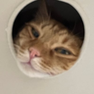 かん。趣味の垢🗣️🗣️