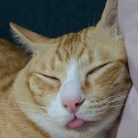 Downyz 6446 🥳🤪 (แอคหลัก)​