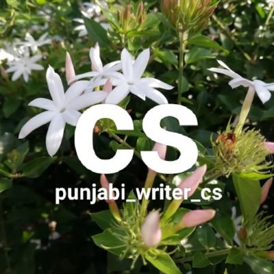 punjabi_writer_cs
