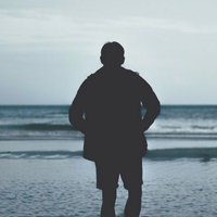 Jose Mercado Exportadora e importadora