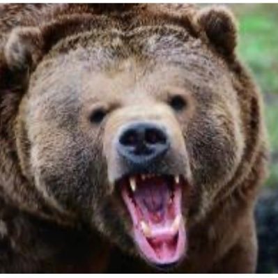 KEREM BAYRAK🇹🇷