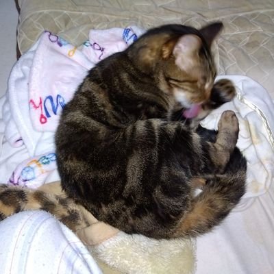 つぶやき？ぼやき？たまにはかがやきたい←つぶやき🌾R/SS　から変えました