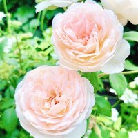 星月夜💫🌙🌃@写真垢