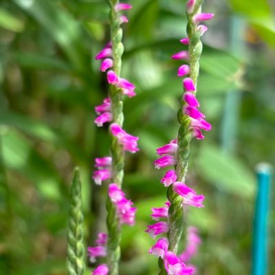 平和憲法を護り伝える者