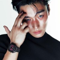 number 1 choi san fan