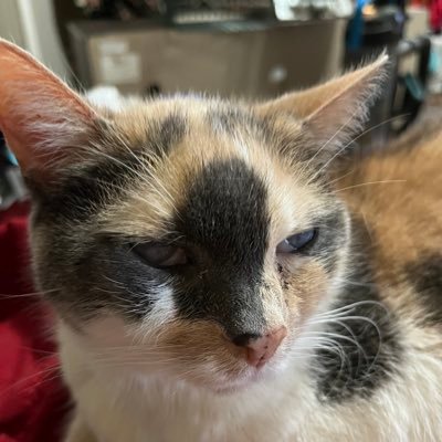 God help us 🌈 💙 🐸 🐸 🌺 🌼 🌹 💜💜