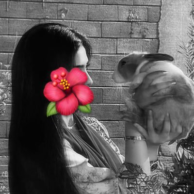 𝗠𝗮𝗵𝗮 𝗔𝗹-𝗧𝗮𝗺𝗶𝗺𝗶 🇦🇪