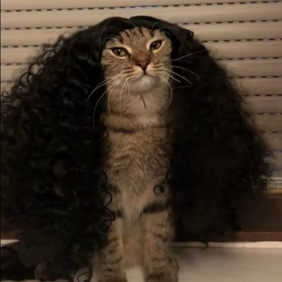 Sadam Njoroge🇰🇪