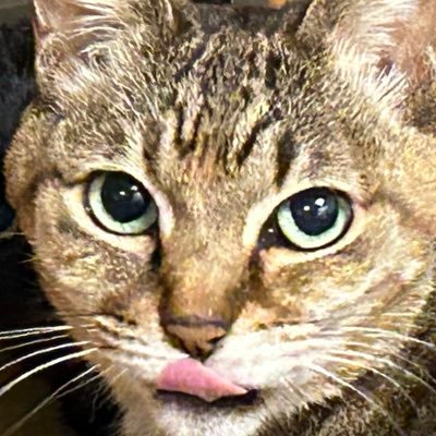 夢のなる樹@対決より解決