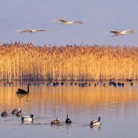 China Military Talks