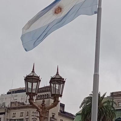 El gorilón de Recoleta