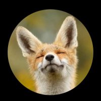 Raucher von Barchhusen