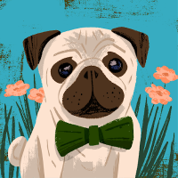 lilies no.34664362773