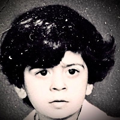 amir prince arjmand kermani