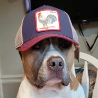 Austin Riley’s barber