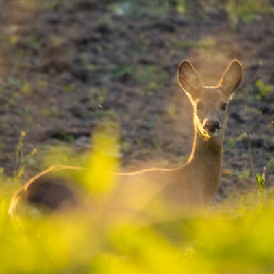 Na Fotograficznym Szlaku