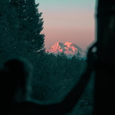 TheForestnottheTrees