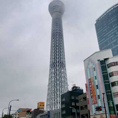 AL❤️‍🩹🩵🐦‍⬛