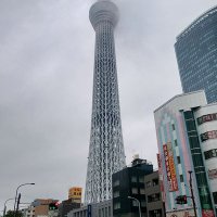 AL❤️‍🩹🩵🐦‍⬛