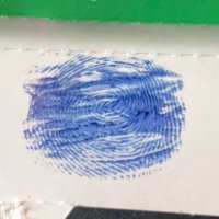 Elizabeth Marie Irving brittannia