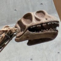 馬門溪竜(きょんこいず&ふくのかみ)