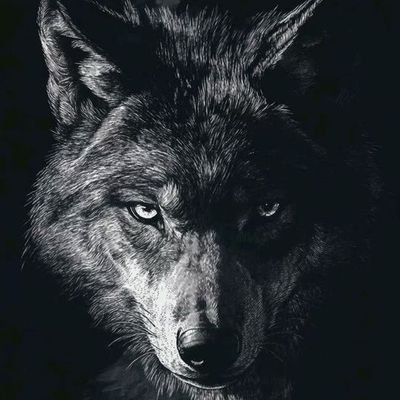 kadirberkayeser🇹🇷🇹🇷