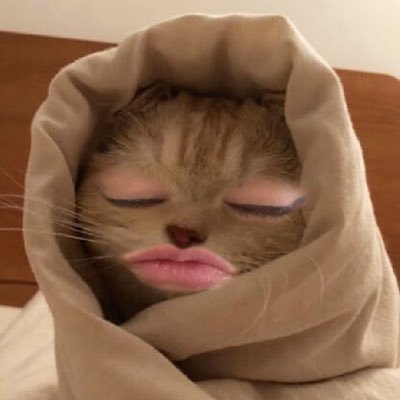 🧚🏻‍♀️✨