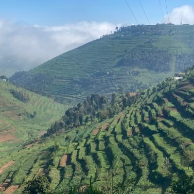 Rwanda Goes Green