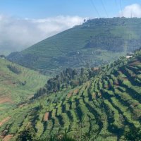 Rwanda Goes Green