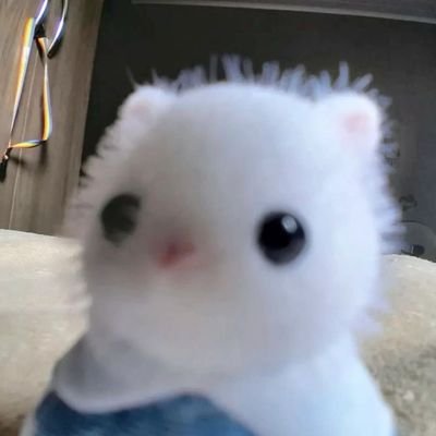 kith, OPENG PO‼️‼️