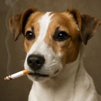 Jay Mito 🌞🙌🏼👉🏼✌🏼🧠🕊️