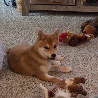 Longtalllucy🇺🇸