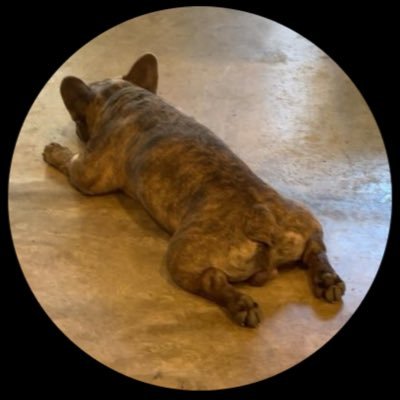 ぱぐぞー✈️🚅🚙💨🚴💨💨🚶