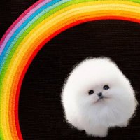 Gin_Sad (Commision open!)