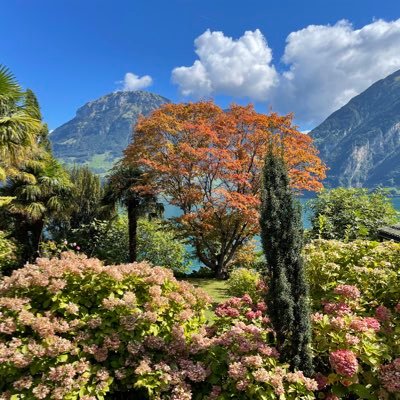 sunnydays🔴🟣🟠