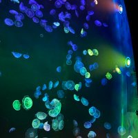 Keep Japan🇯🇵🌸美しい日本を次世代へ